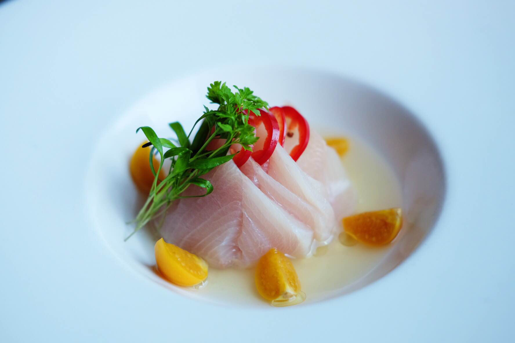Now Appearing On Your Menu ... Asian Carp?